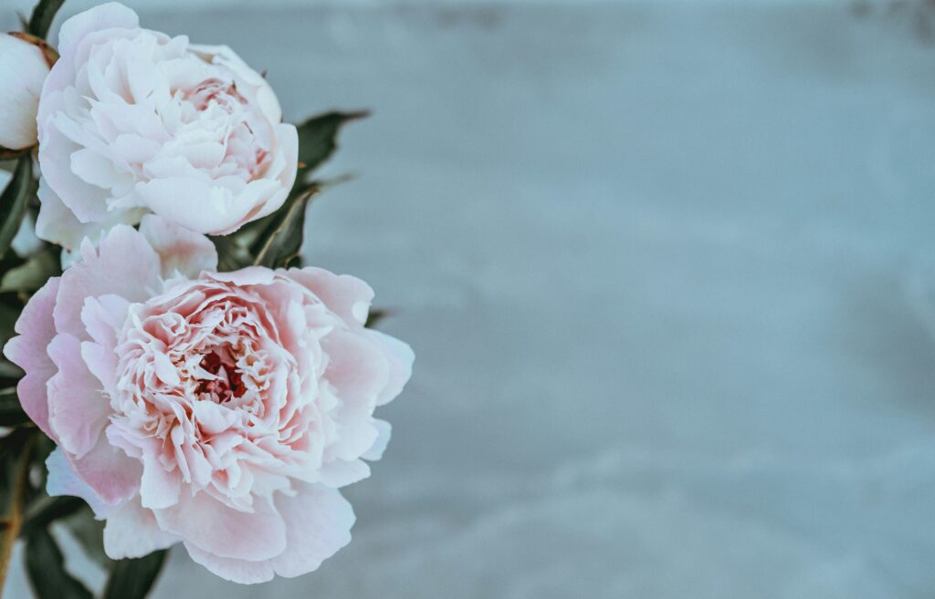 Alexia Dunet Wedding Planner Wedding Planner Gironde Destination Wedding Planner Bordeaux Wedding Planner en Gironde Mariage à Bordeaux